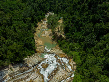 High angle view of waterfall amidst trees in forest