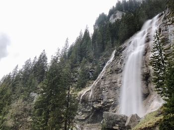 Low angle view of waterfall in forest against sky