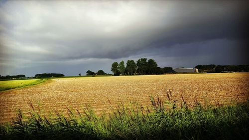 Scenic view of field against sky