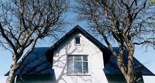 Low angle view of bare tree and building against sky