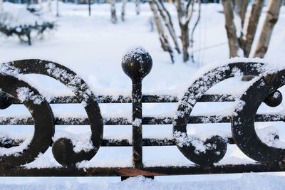 Close-up of snow covered railing