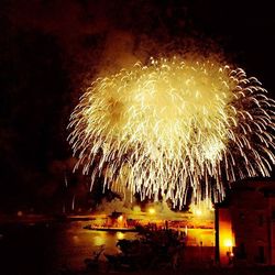 Firework display at night