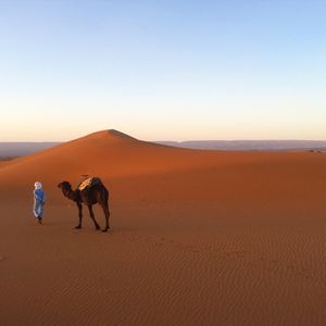 Scenic view of landscape against clear sky