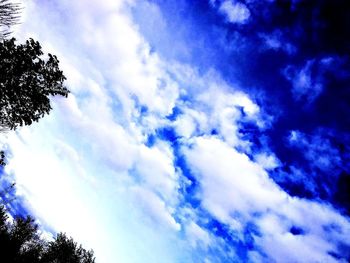 Low angle view of trees against blue sky