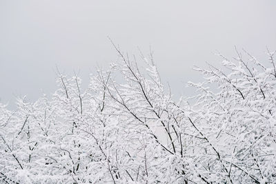 Close-up of snow against clear sky