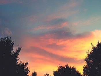 Low angle view of silhouette trees against orange sky