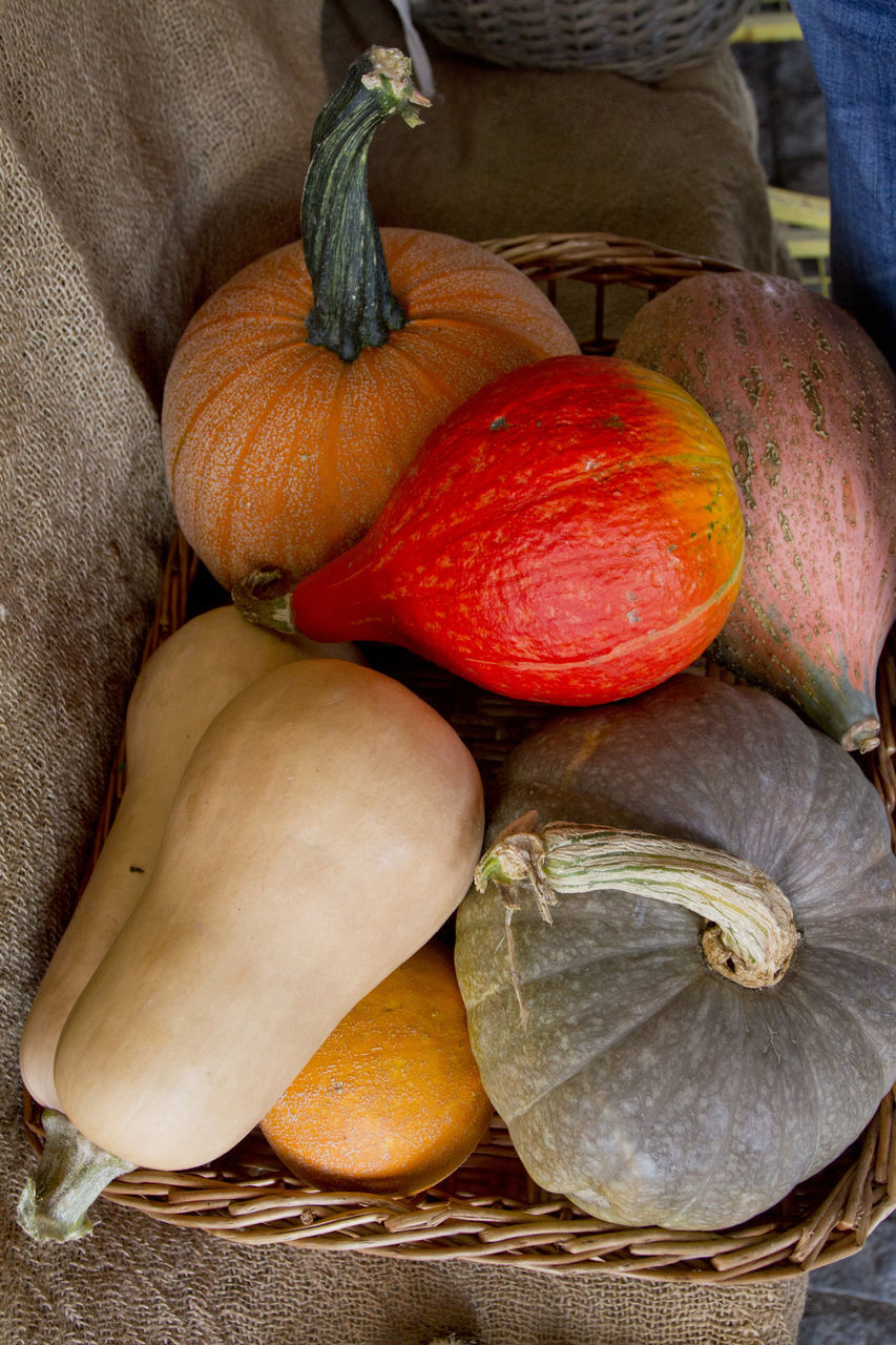 HIGH ANGLE VIEW OF ORANGES AND PUMPKINS IN CONTAINER