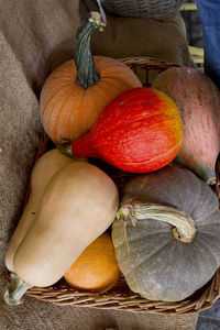 High angle view of pumpkins