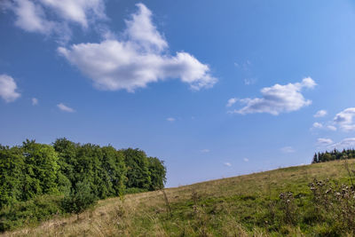 Trees on field against sky