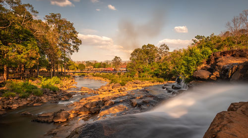 Scenic view of river amidst trees against sky