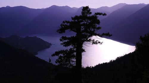 Silhouette tree on mountain against sky