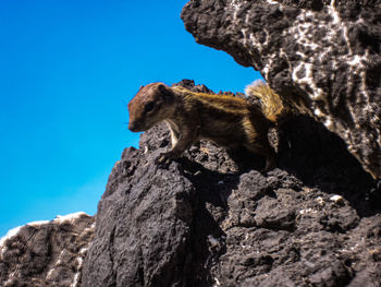 Low angle view of a rock