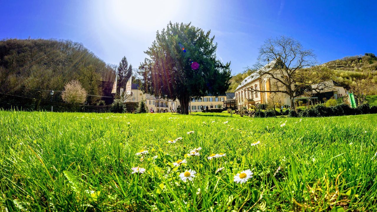 plant, grass, flower, architecture, sky, nature, built structure, tree, building exterior, flowering plant, field, landscape, building, land, green color, day, beauty in nature, environment, sunlight, rural scene, no people, outdoors, springtime, cottage