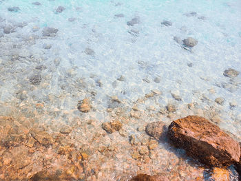 High angle view of crab on beach