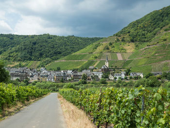 Scenic view of agricultural landscape against sky