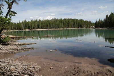 Scenic view of lake by trees against sky