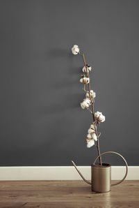 Close-up of cotton plant on table against wall