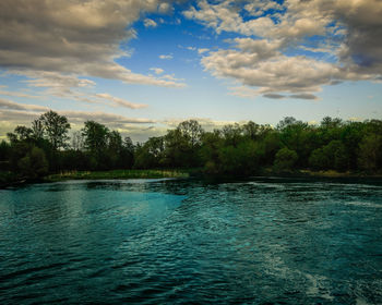 Scenic view of lake in forest against sky