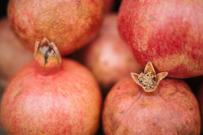 Close-up of pomegranate