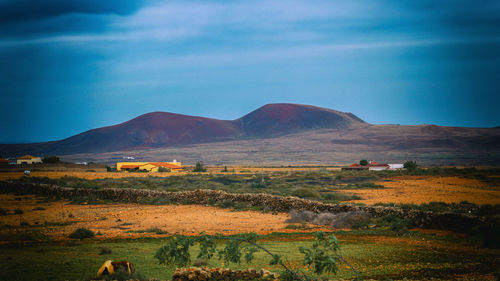 Scenic view of landscape against sky