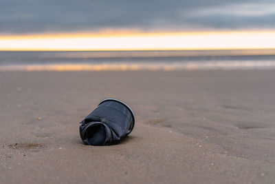 Close-up of water on beach against sky