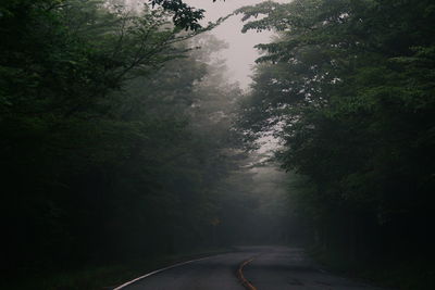 Scenic view of empty road passing through forest