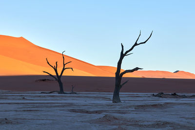 Bare tree on desert against clear sky