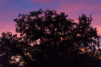 Low angle view of silhouette trees against sky at sunset