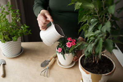 Midsection of woman watering plants on table at home