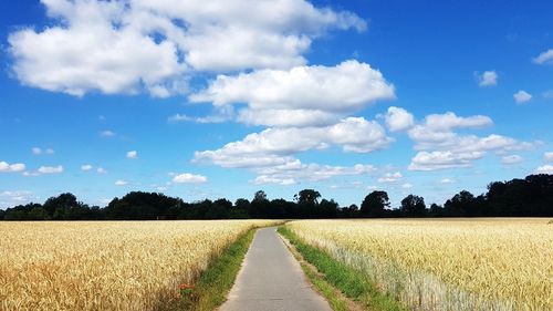 Panoramic view of agricultural field against sky