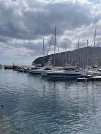 Sailboats moored at harbor against sky