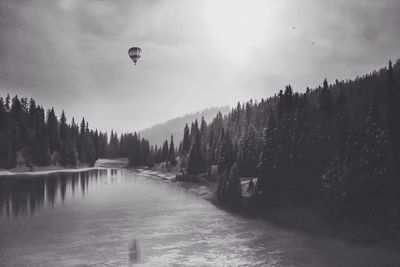 Hot air balloon over river amidst trees