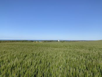 Over the fields and far away