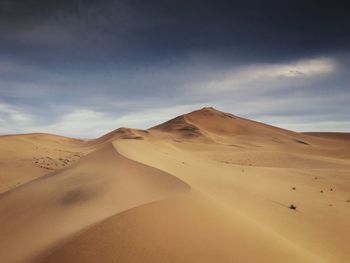 Scenic view of desert against sky