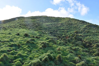 Scenic view of mountain against sky