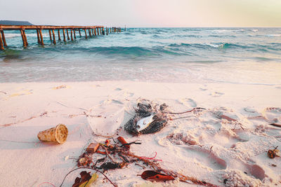 Scenic view of sea shore