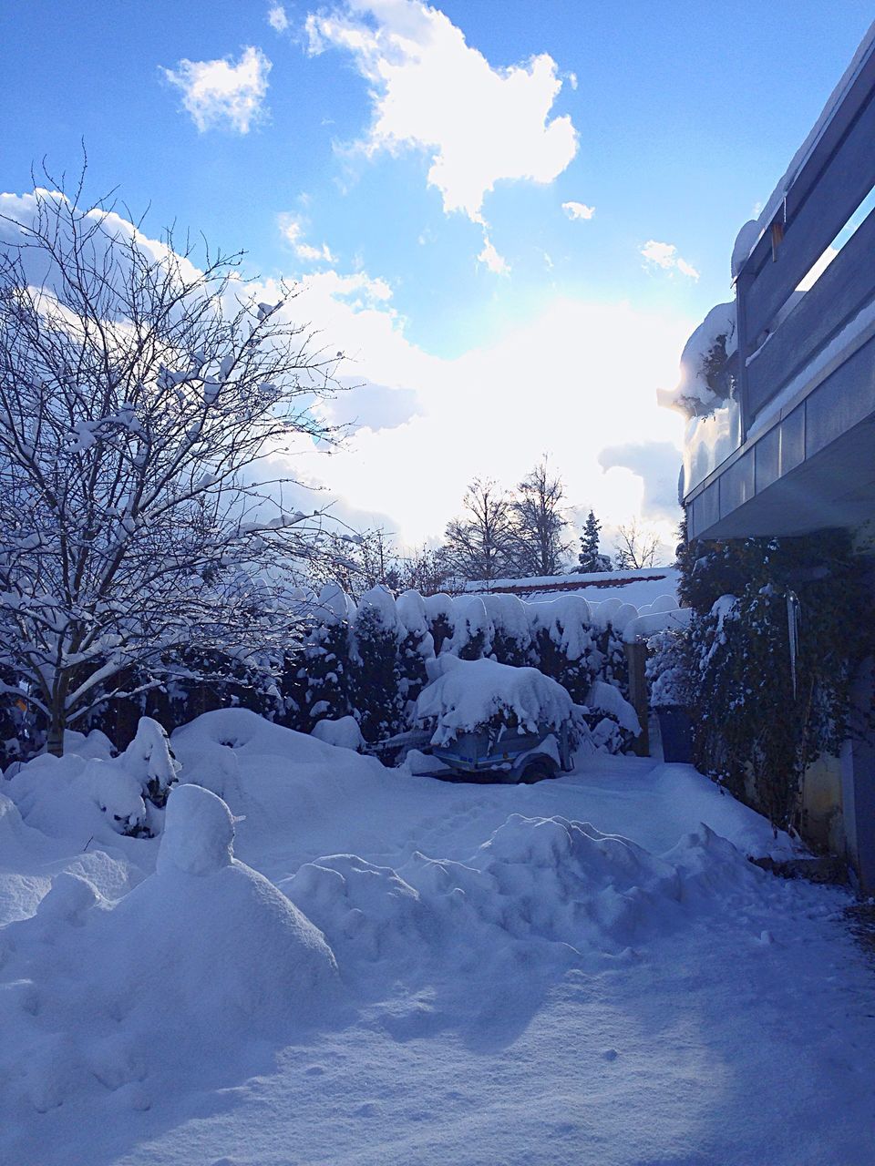 snow, winter, cold temperature, season, sky, tree, weather, covering, tranquil scene, tranquility, beauty in nature, landscape, nature, scenics, blue, white color, frozen, bare tree, cloud - sky, field