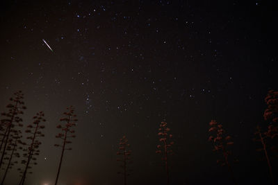 Scenic view of star field at night