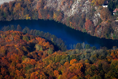 Scenic view of trees during autumn