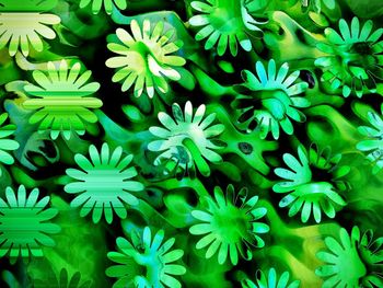 Full frame shot of leaves