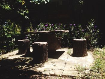 Plants and trees in park