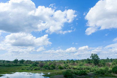 Scenic view of landscape against sky
