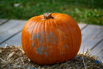 Close-up of pumpkins on field during autumn