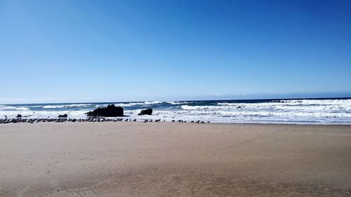 Scenic view of beach against clear blue sky