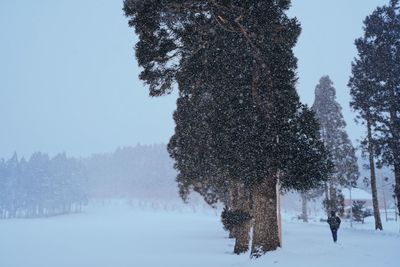 Trees on snow covered field against sky