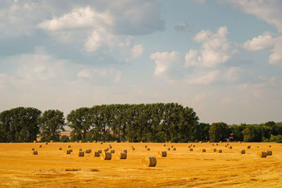 Hay bales on field against sky