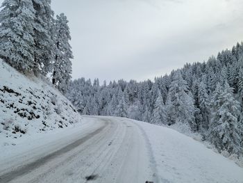 Snow covered road amidst trees against sky in north idaho