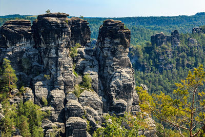 View of trees on rock formations