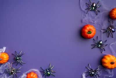 Directly above shot of tomatoes on yellow background