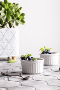 Close-up of potted plant on table